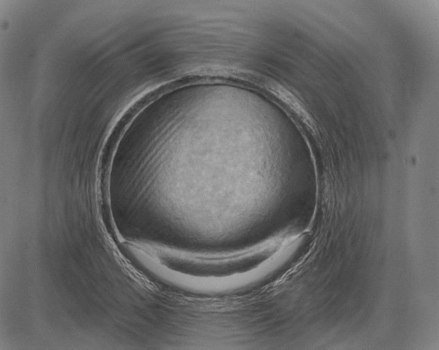 X0000083040976200702161702