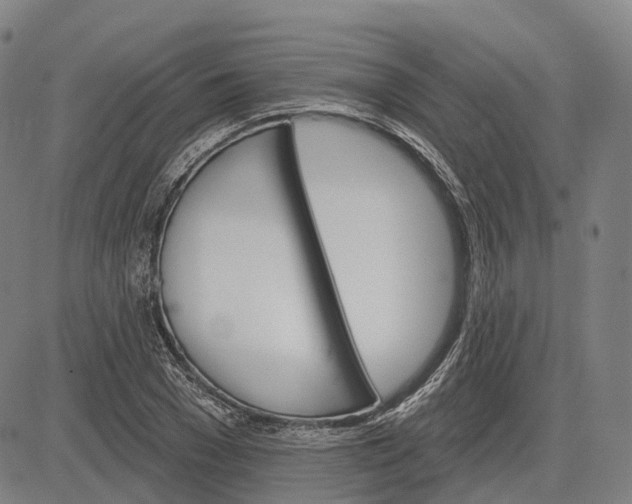 X0000083040977200702161702