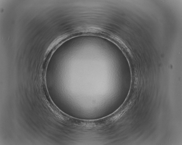 X0000083040978200702161702