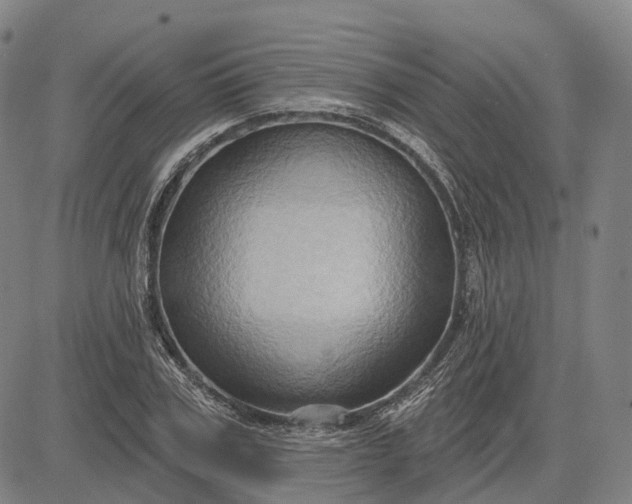 X0000083040979200702161702