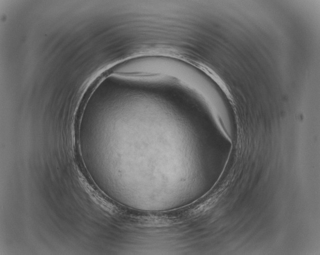 X0000083040980200702161702