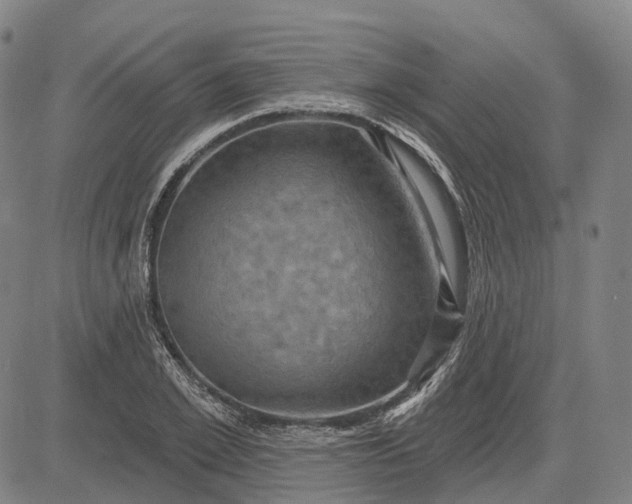 X0000083040981200702161702