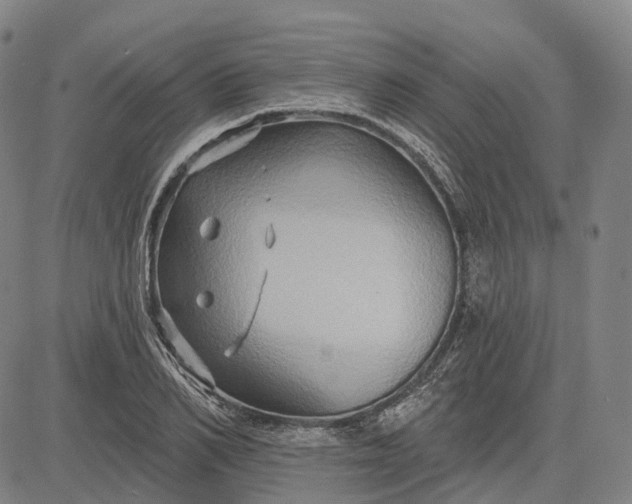 X0000083040982200702161702