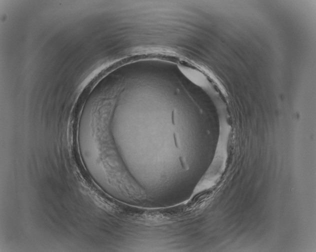 X0000083040983200702161702