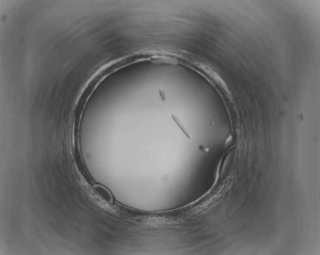 X0000083040984200702161702