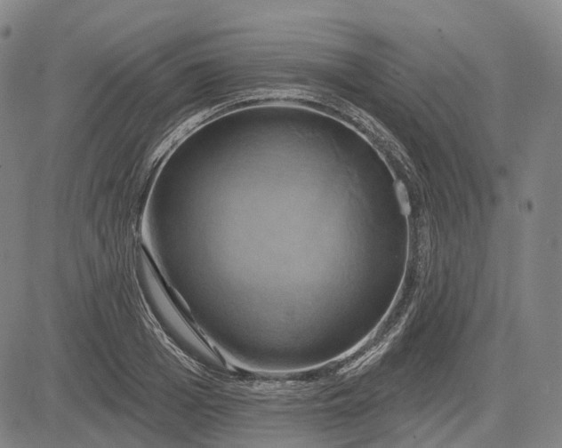 X0000083040985200702161702