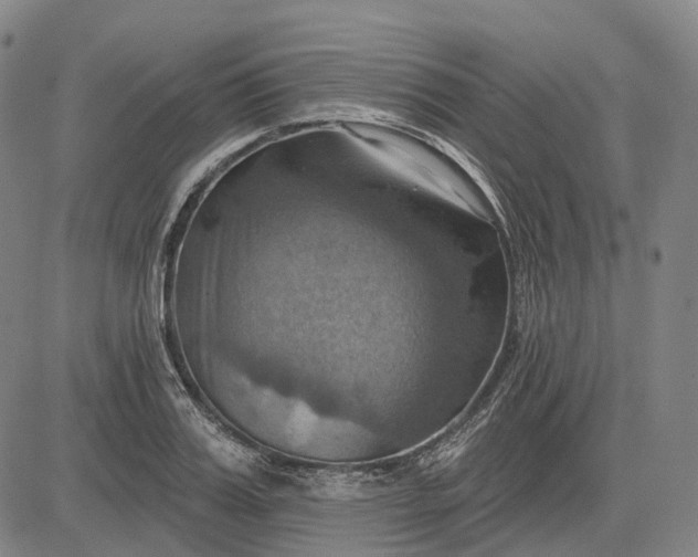 X0000083040987200702161702