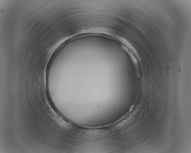 X0000083040988200702161702