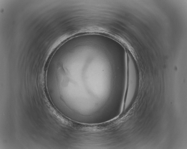 X0000083040990200702161702