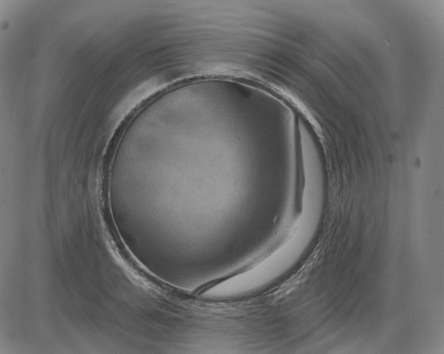 X0000083040991200702161702