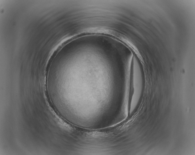 X0000083040992200702161702