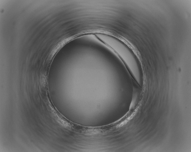 X0000083040993200702161702