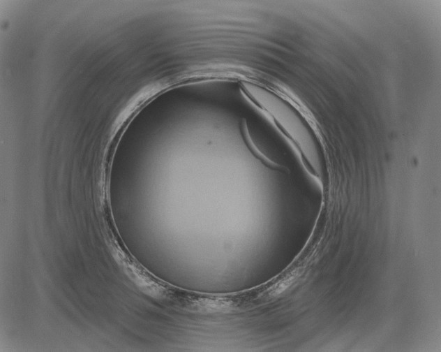 X0000083040994200702161702