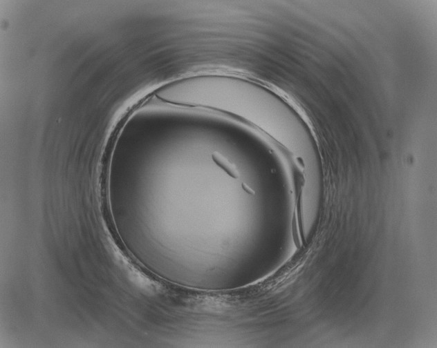 X0000083040995200702161702