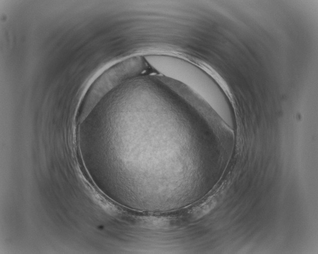 X0000083040996200702161702