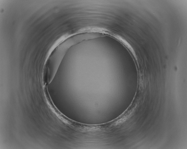 X0000083040997200702161702