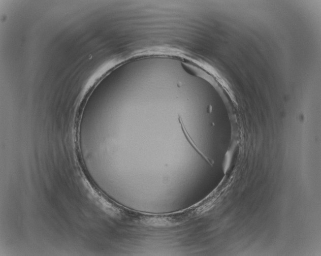 X0000083040998200702161702