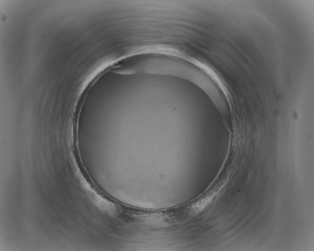 X0000083040999200702161702