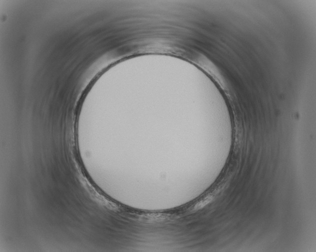 X0000083041000200702161702