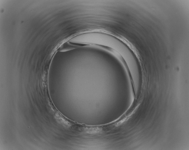 X0000083041001200702161702