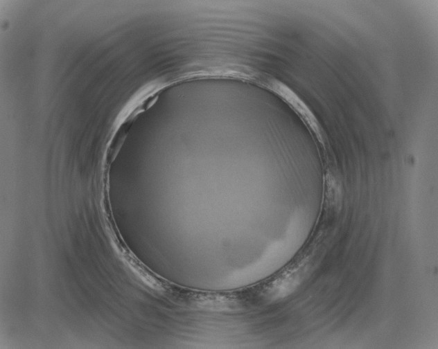 X0000083041002200702161702