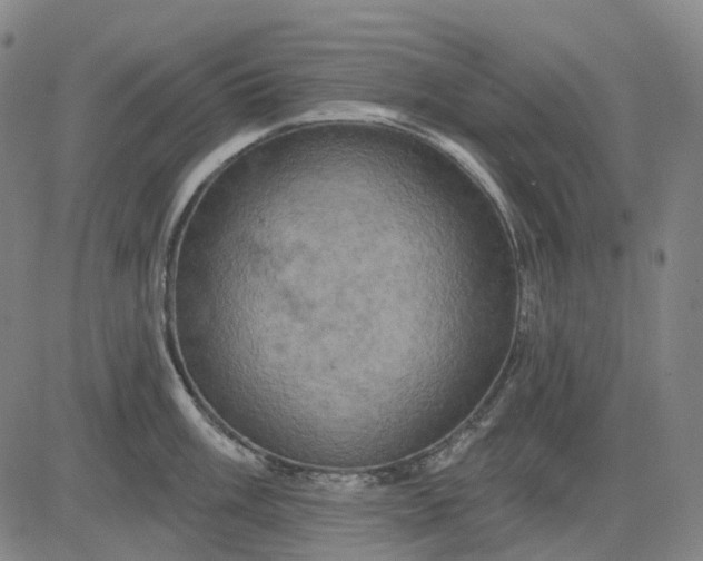 X0000083041003200702161702