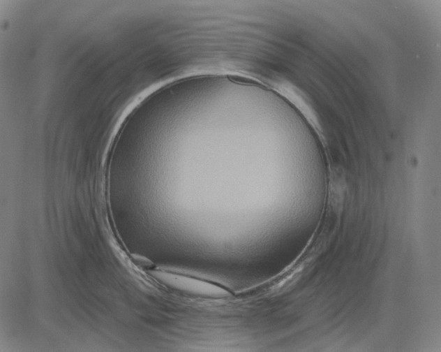 X0000083041004200702161702