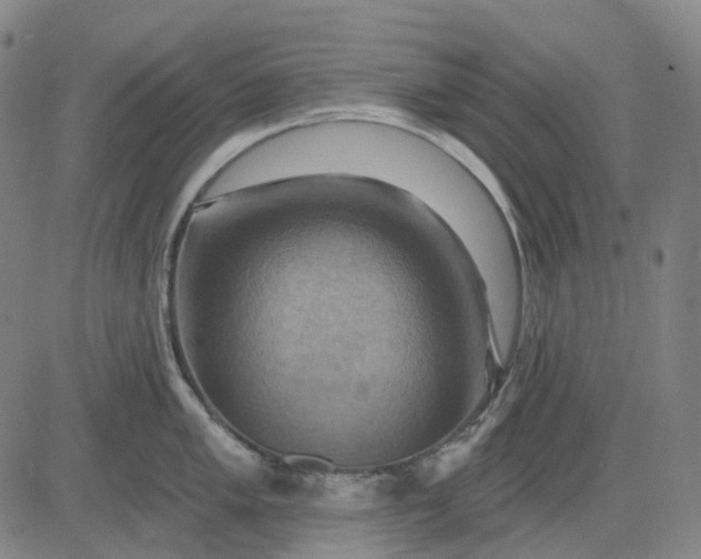 X0000083041005200702161701