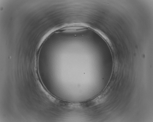 X0000083041006200702161701