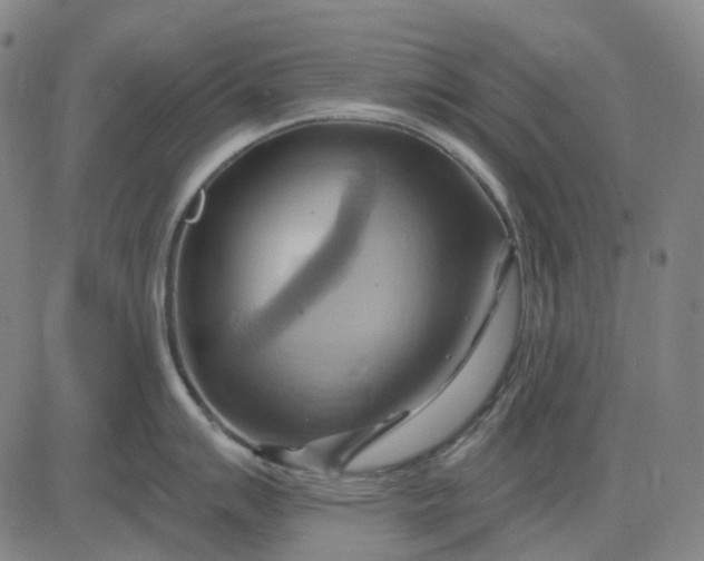 X0000083041007200702161701