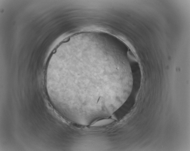 X0000083041008200702161701