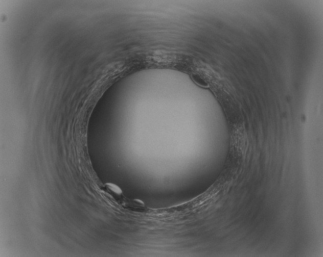 X0000083041009200702161701