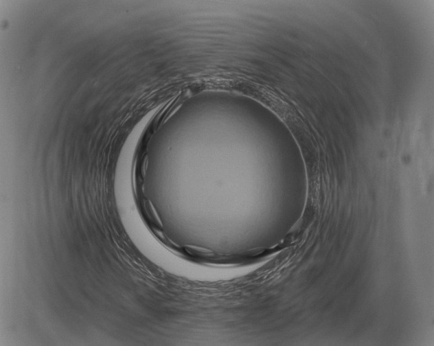 X0000083041010200702161701