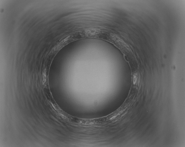 X0000083041011200702161701