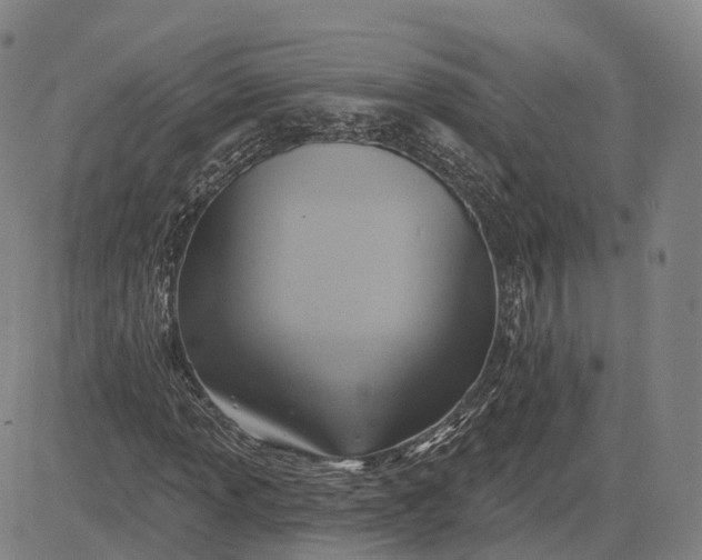 X0000083041013200702161701