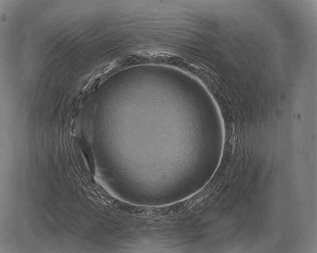 X0000083041014200702161701