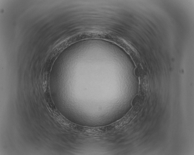 X0000083041015200702161701