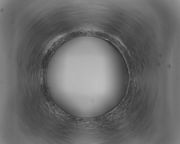 X0000083041016200702161701