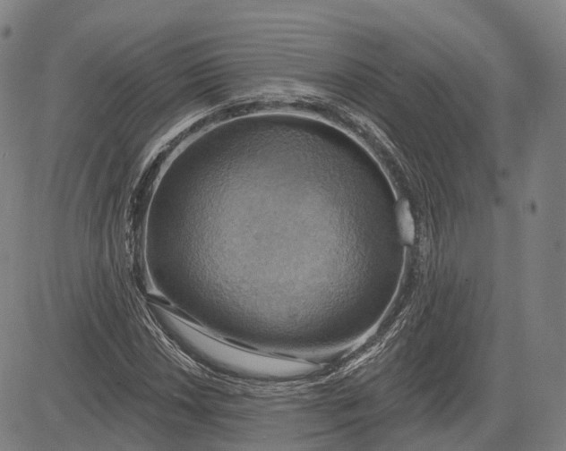 X0000083041018200702161701