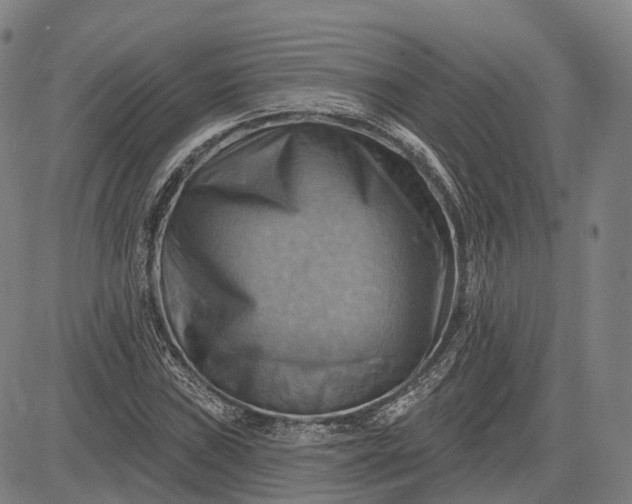 X0000083041019200702161701