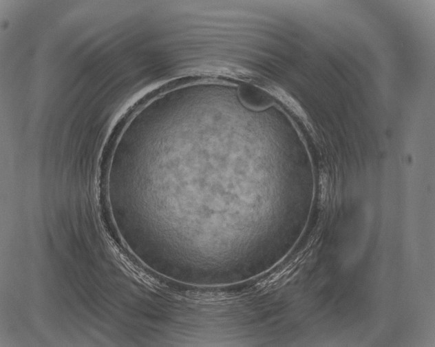 X0000083041020200702161701