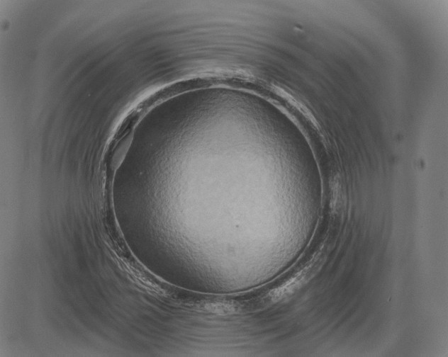 X0000083041021200702161701