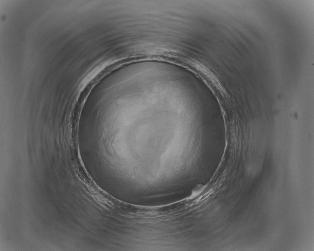 X0000083041023200702161701