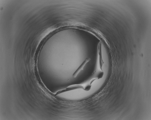 X0000083041024200702161701