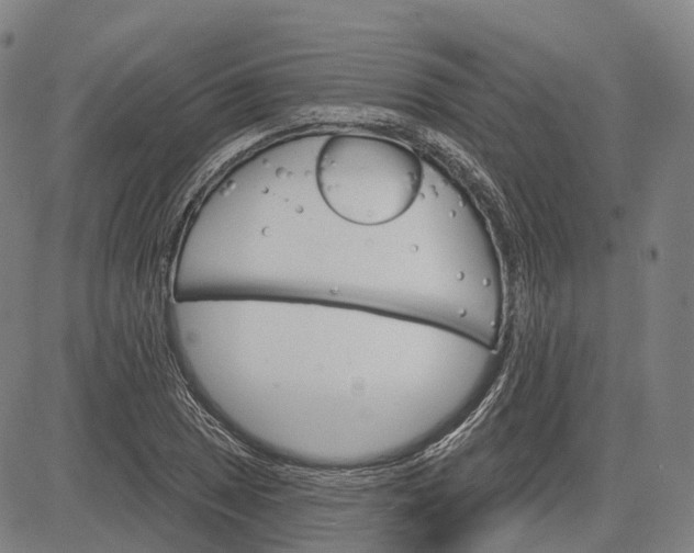 X0000083041025200702161701