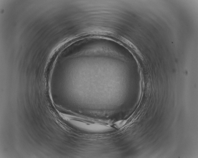 X0000083041027200702161701