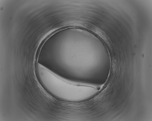 X0000083041028200702161701