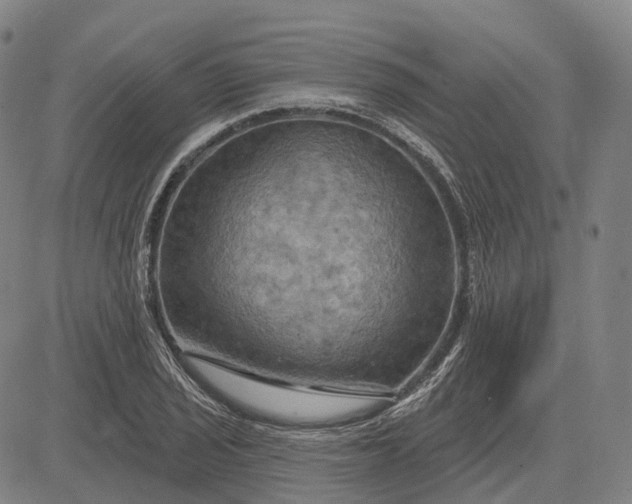 X0000083041029200702161701