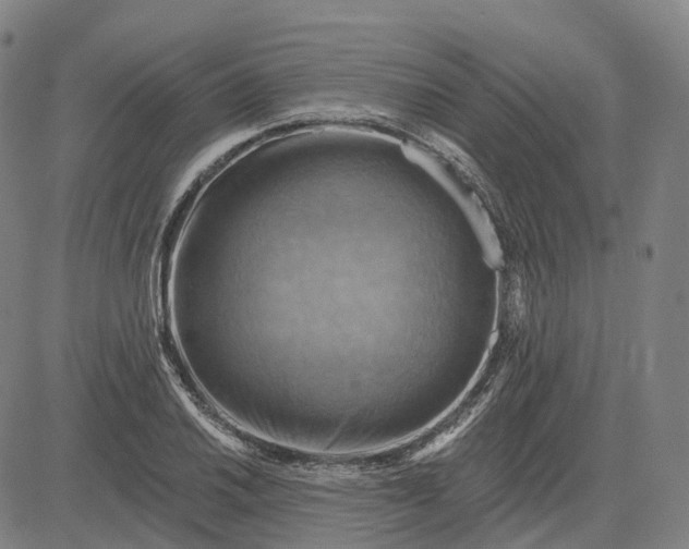 X0000083041030200702161701