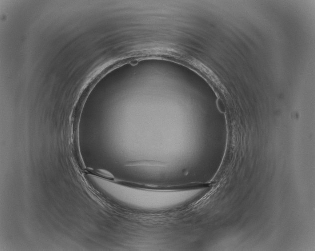 X0000083041031200702161701